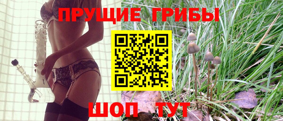 Галлюциногенные грибы GOLDEN TEACHER  Вход с VPN  Елизово  Галлюциногенные грибы GOLDEN TEACHER 