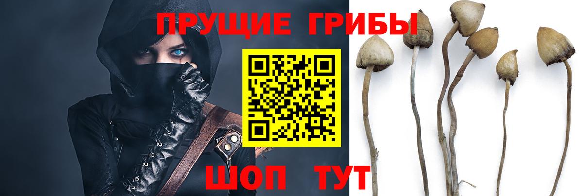 Псилоцибиновые грибы MAGIC MUSHROOMS Елизово